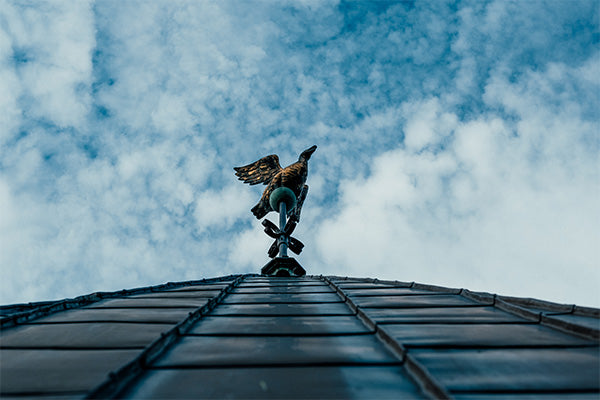 BORGENS HISTORIER // 29.05.26